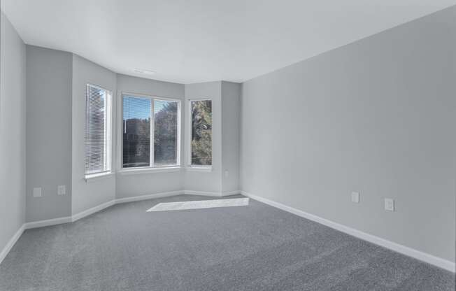 an empty living room with three windows and gray carpet