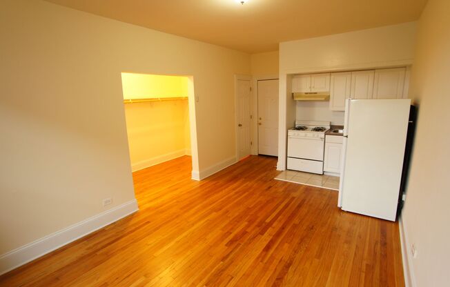 Studio, 1 bath, 375 sqft, $1,495, Unit Spaulding-207