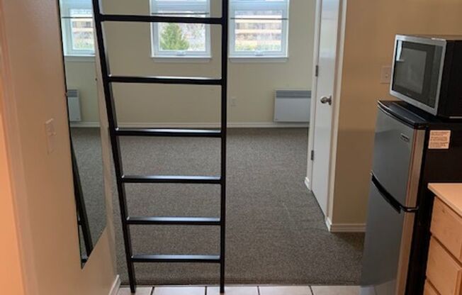 Studio, 1 bath, 346 sqft, $975, Unit 702