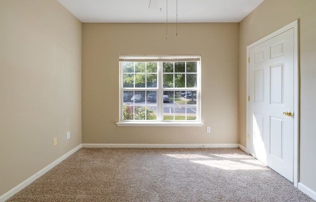 Carpeted Bedroom With Large Double Windows