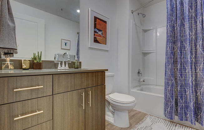 Model apartment home bathroom