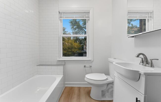 Studio, 1 bath, 207 sqft, $1,495, Unit 102