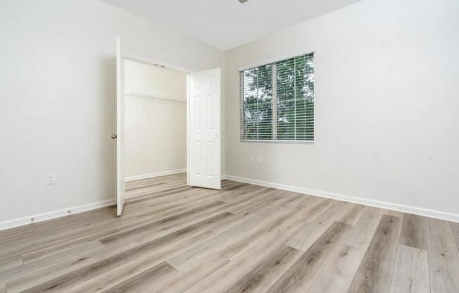 Spacious Bedroom with Large Closet