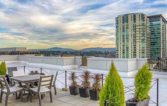 Roof-Top Terrace with Barbecue