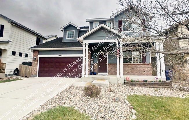 7947 IRISH DR
