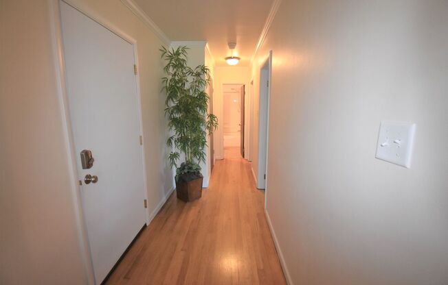 2 beds, 1 bath, 555 sqft, $1,100, Unit 37