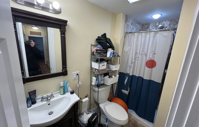 11 WHITE ST PL