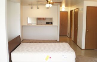 Studio, 1 bath, 534 sqft, $1,000, Unit 101