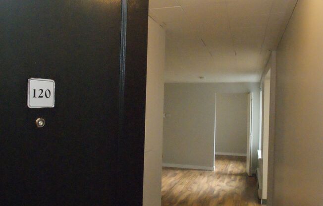 1 bed, 1 bath, 540 sqft, $1,325, Unit 120