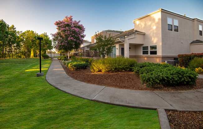 A residential area with a house, a lawn, and a pathway.