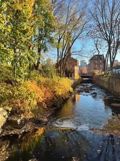 A small river flows through a city park.