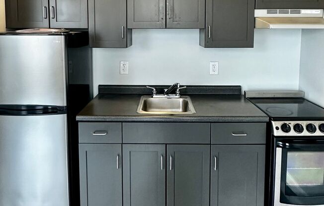 Studio, 1 bath, 255 sqft, $1,450, Unit 319