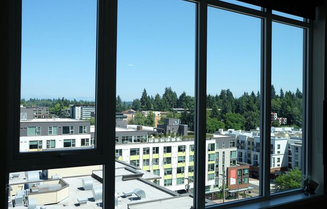 1 bed, 1 bath, 556 sqft, $2,699, Unit 517