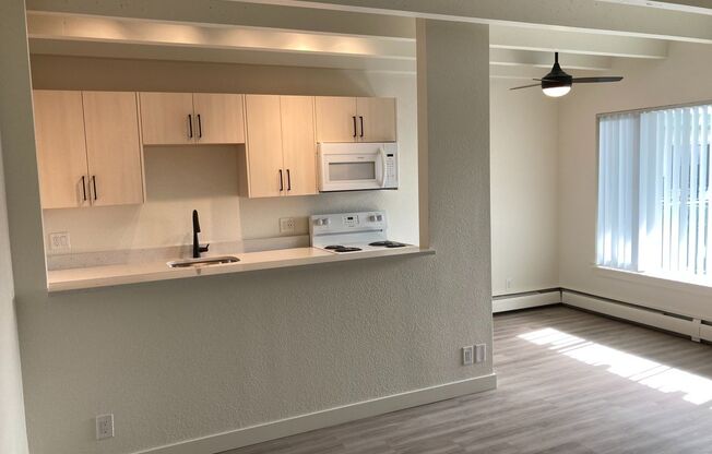 1 bed, 1 bath, 640 sqft, $1,350, Unit 203