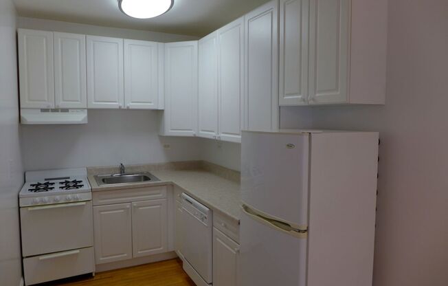 Studio, 1 bath, 475 sqft, $1,195, Unit 207