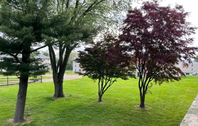 2 beds, 1 bath, 900 sqft, $1,525, Unit 123