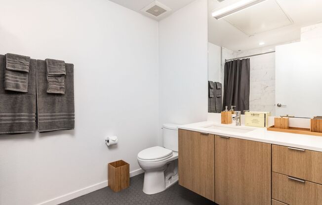 Studio, 1 bath, 537 sqft, $2,450, Unit 409