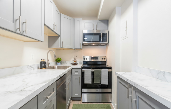Studio, 1 bath, 376 sqft, $1,375, Unit 103