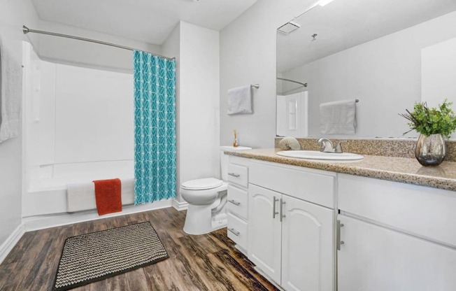 Luxurious Bathroom at The Park Apartments, California