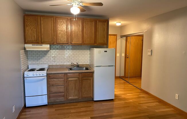 Studio, 1 bath, 400 sqft, $925, Unit Unit 307