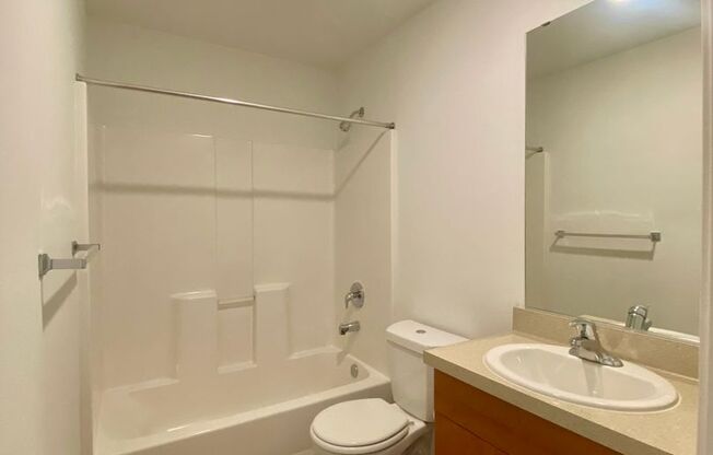Studio, 1 bath, 189 sqft, $1,325, Unit 4206