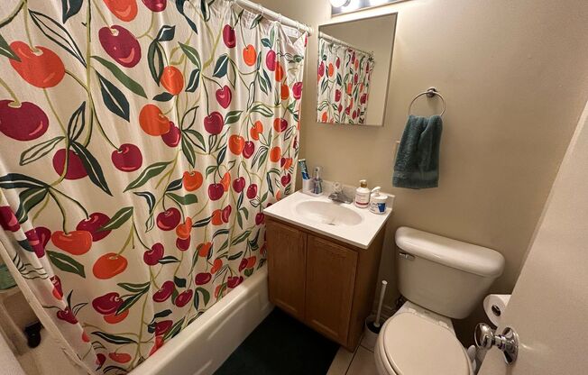 1 bed, 1 bath, $850, Unit 113