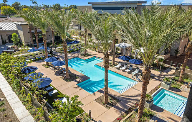 A resort-style pool here at Reflect at Dobson Ranch featuring a sparkling rectangular swimming pool surrounded by tall palm trees, spacious concrete decking, rows of lounge chairs with navy umbrellas, and landscaped greenery, creating a relaxed outdoor retreat with shaded seating areas and a clean, modern community atmosphere.
