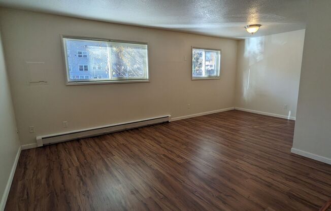 Studio, 1 bath, 350 sqft, $925, Unit 203