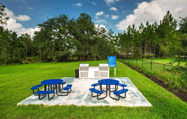 Picnic Area in Courtyard at Fountainhead, Jacksonville, FL, 32258
