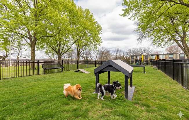 Two dogs are playing in a park with a small shelter.