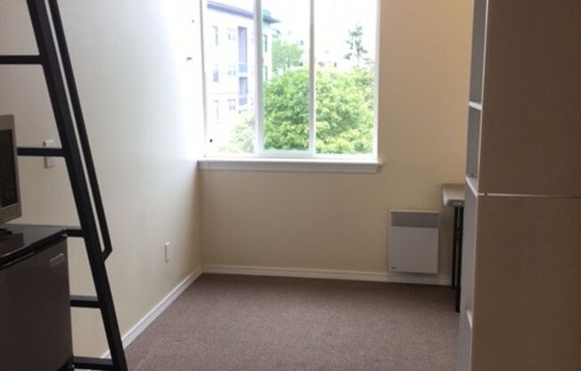 Studio, 1 bath, 194 sqft, $1,120, Unit 503