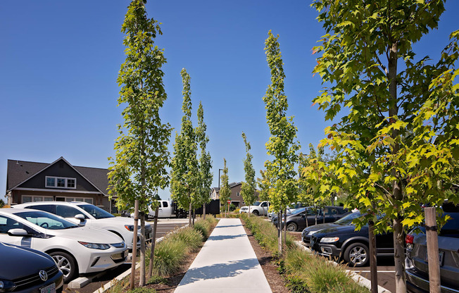 OR_HappyValley_TheElwood_Neighborhood4