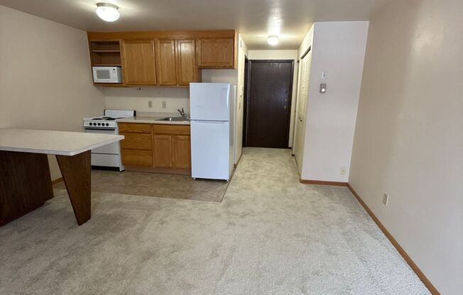 Studio, 1 bath, 300 sqft, $1,060, Unit 102-110