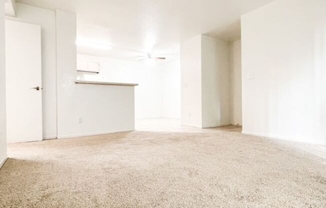1 bed, 1 bath, 733 sqft, $1,210, Unit 147
