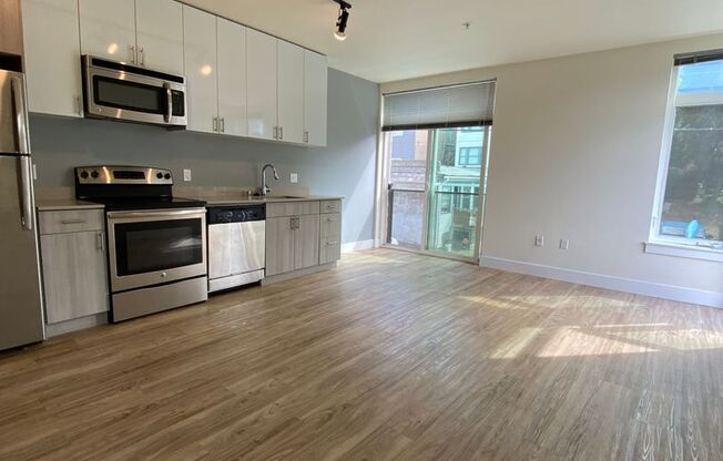 Studio, 1 bath, 430 sqft, $1,695, Unit 409