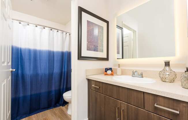 Miracle Mile, Los Angeles, CA Apartments For Rent - The Preston Miracle Mile - Bathroom With Quartz Countertops, Large Vanity Mirror, Wood-Like Cabinets, Plank Wood Style Flooring, And Separate Toilet