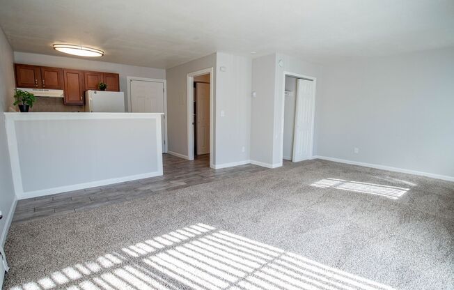 Studio, 1 bath, 380 sqft, $1,095