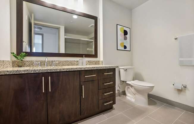 a bathroom with a large mirror and a toilet