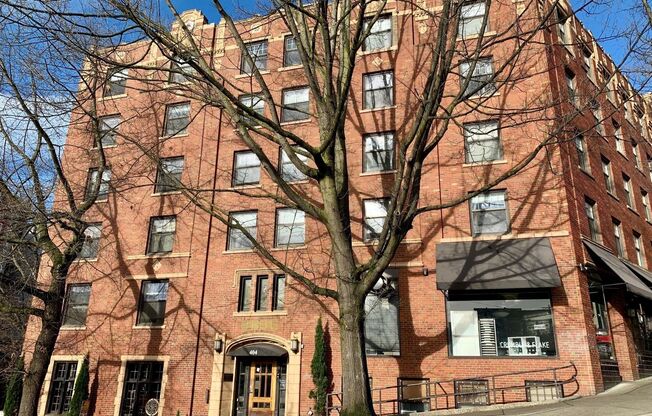 1 bed, 1 bath, 351 sqft, $1,350, Unit 405
