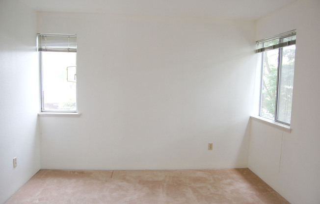 4301 Woodland Park