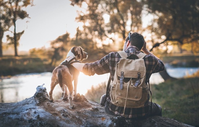 Dog Friendly Apartments at Windsor Westminster, Westminster, Colorado