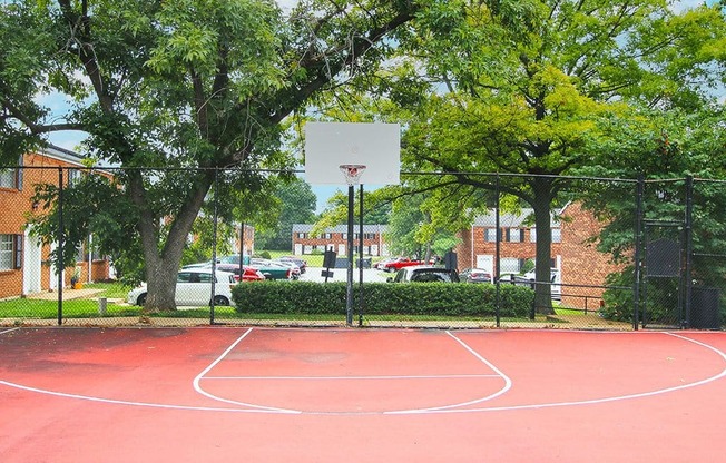 a basketball court in a park with trees