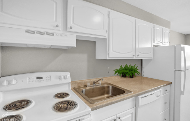 1 bed, 1 bath, 600 sqft, $1,350, Unit 205