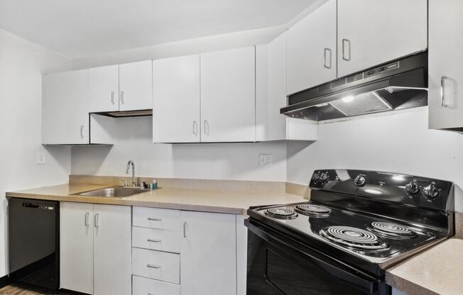 Welcome to Delmar Loop Apartments and Commercial Spaces