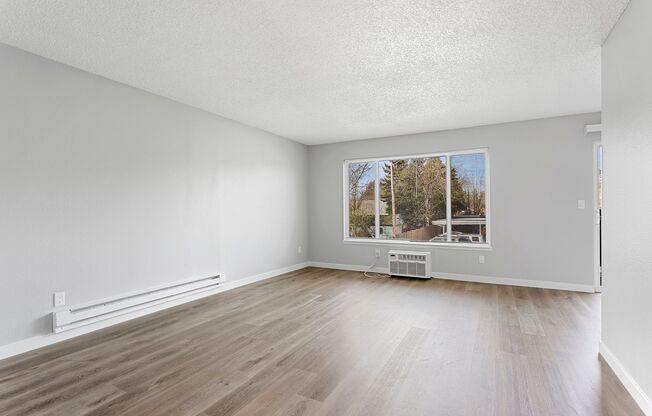 Pine Tree Lane Apartments