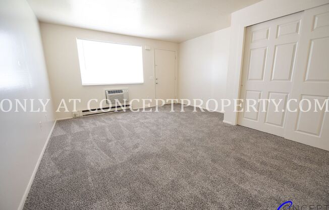 Studio, 1 bath, 360 sqft, $699, Unit 234