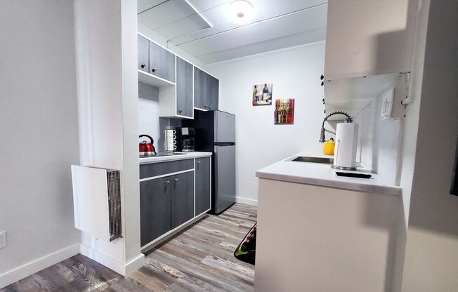 1 bed, 1 bath, 550 sqft, $999