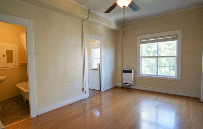 Studio, 1 bath, $995, Unit 56