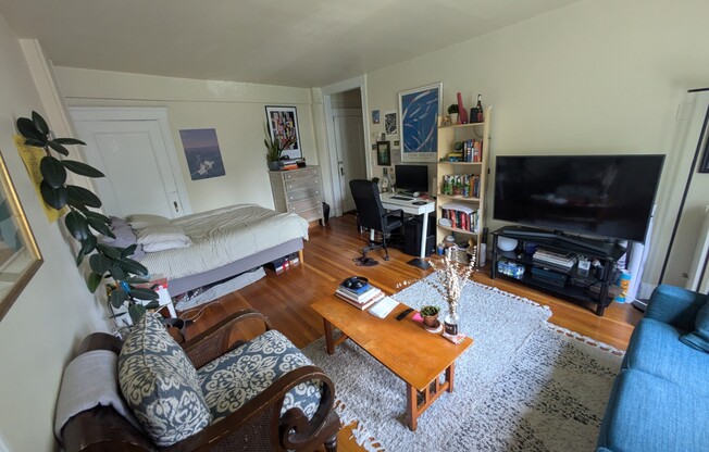15 Linnaean St.