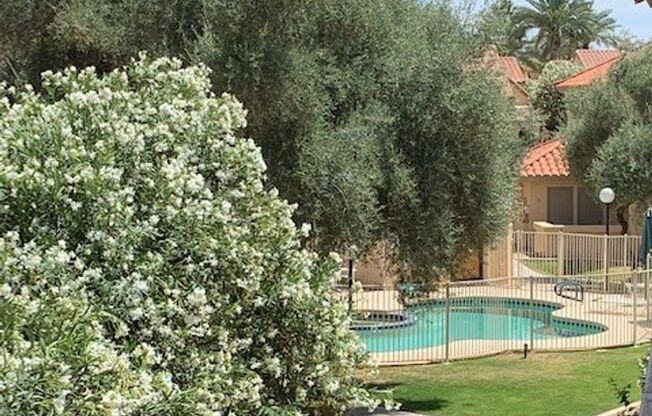 One bedroom condo/ Scottsdale